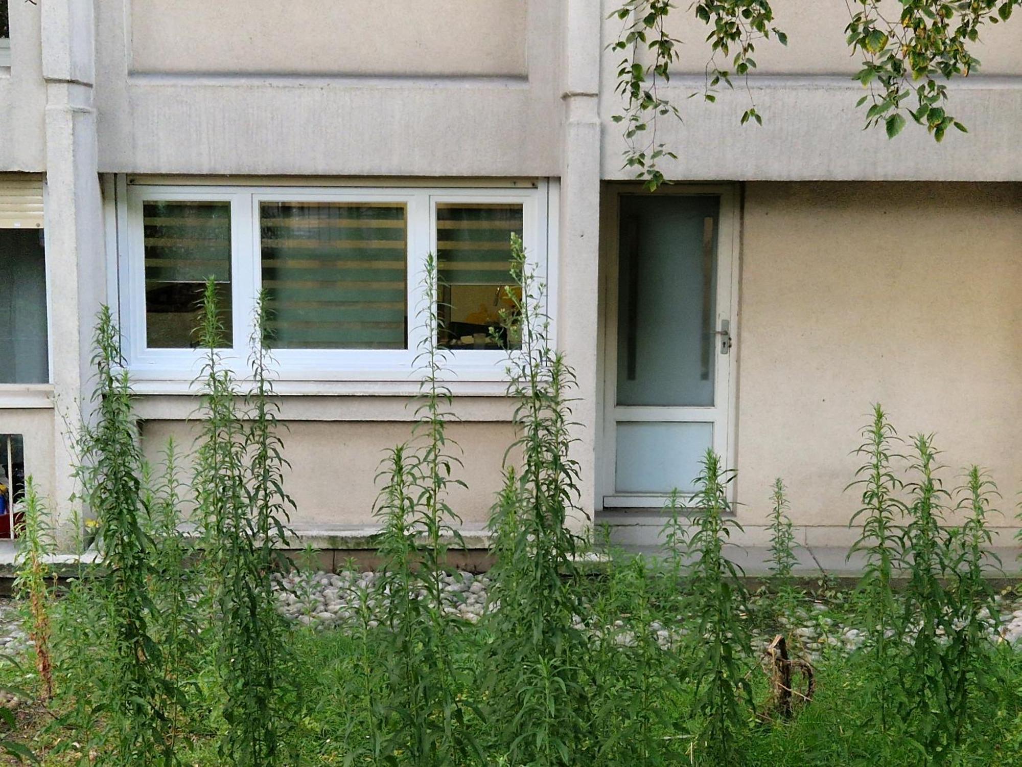 Comfortable Rooms For Working - Levallois Exterior foto